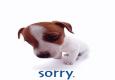 I'm Sorry